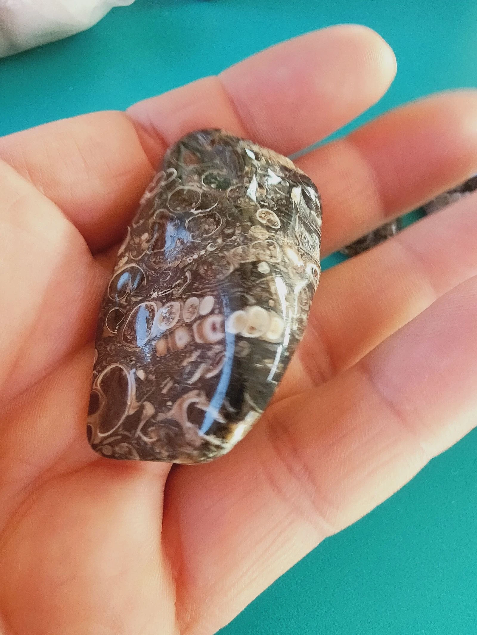 Een zeer mooie agate turitelle – photo 2